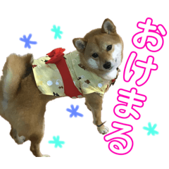 [LINEスタンプ] ミニ柴むぎちゃん