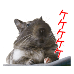 [LINEスタンプ] デグーのチョビぎんスタンプ