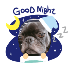 [LINEスタンプ] ティニースタンプ