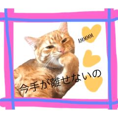 [LINEスタンプ] 茶トラ＆茶白4兄弟のスタンプVer3