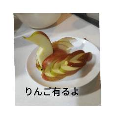 [LINEスタンプ] 食べ物〜写真スタンプ〜