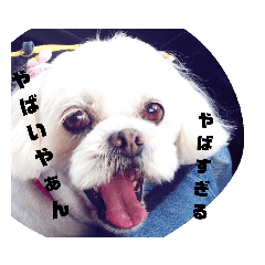 [LINEスタンプ] ひなぴの言葉 