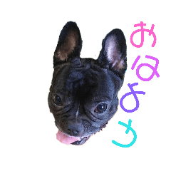 [LINEスタンプ] フレンチブルブル2