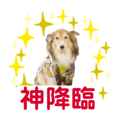 [LINEスタンプ] 癒し犬はむおの日常 ②