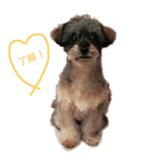 [LINEスタンプ] メイの日常②