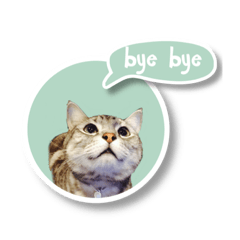 [LINEスタンプ] あおくん 英語スタンプバージョン