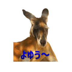 [LINEスタンプ] stampoo365