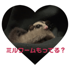 [LINEスタンプ] ぷにモガの日常