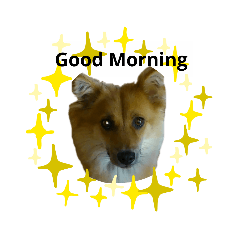 [LINEスタンプ] Fluffyー