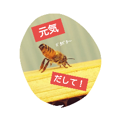 [LINEスタンプ] ミツバチのきもち。