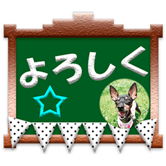[LINEスタンプ] ミニチュアピンシャーの日常会話 Part4