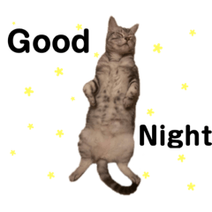 [LINEスタンプ] papiとhideの日常