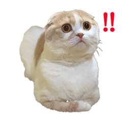 [LINEスタンプ] てんとえん