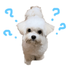 [LINEスタンプ] 臣の日常