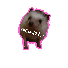 [LINEスタンプ] チェロキー