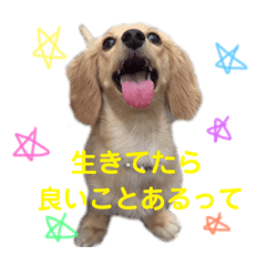 [LINEスタンプ] シューとミーとモー②