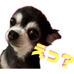 [LINEスタンプ] ヴァレンちゃん