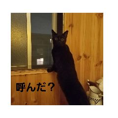 [LINEスタンプ] エンゾと山椒