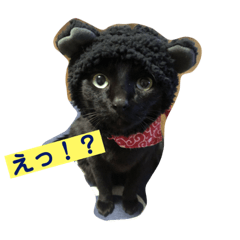 [LINEスタンプ] あくびとうずら3