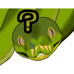 [LINEスタンプ] グリーンパイソン