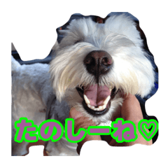 [LINEスタンプ] あんずさん、おまめさん、その3。