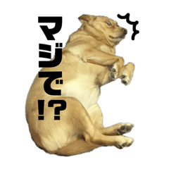[LINEスタンプ] ムーのスタンプ2