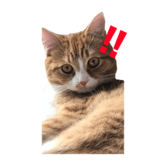 [LINEスタンプ] むぎくんスタンプ 2