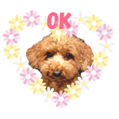 [LINEスタンプ] マロチロ