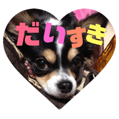 [LINEスタンプ] 蓮 生まれは 秋田