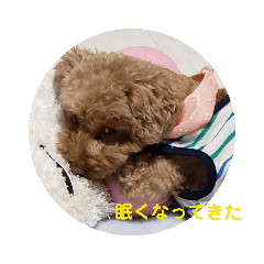 [LINEスタンプ] 愛犬猫シリーズ1