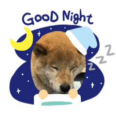 [LINEスタンプ] 柴犬画像スタンプ