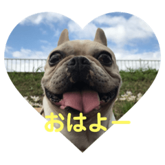 [LINEスタンプ] フレブルはな