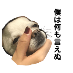 [LINEスタンプ] ヤギかもしれない