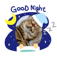 [LINEスタンプ] コゲ・ミツジ