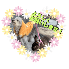 [LINEスタンプ] 犬とウサギの生活