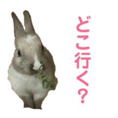 [LINEスタンプ] ハニー＆メイプル 2