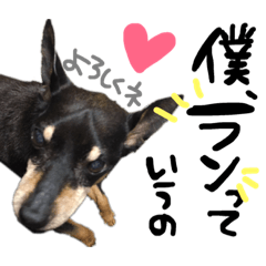 [LINEスタンプ] らんくん❤︎