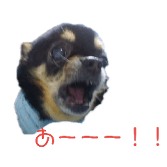 [LINEスタンプ] ぷりぷりスタンプ4