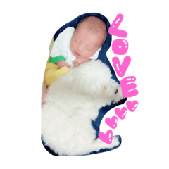 [LINEスタンプ] 叶羽くんパールちゃん