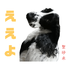 [LINEスタンプ] 関西インギーズだよ全員集合 vol.1
