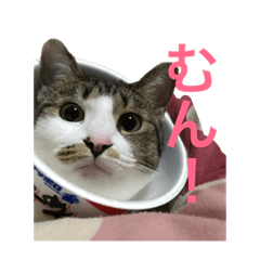 [LINEスタンプ] つくねのスタンプ2