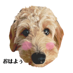 [LINEスタンプ] ダップーちゃん その1