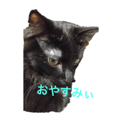 [LINEスタンプ] リノさん