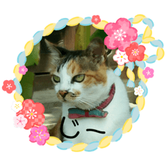 [LINEスタンプ] 愛しのウリ