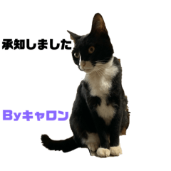 [LINEスタンプ] キャロンちゃん❤ルフィ〜くん