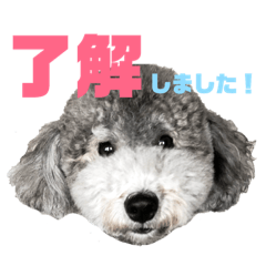 [LINEスタンプ] 今日のSunny part2