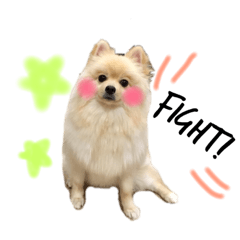 [LINEスタンプ] ぽあスタンプ 