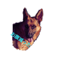 [LINEスタンプ] シェパードクラブ