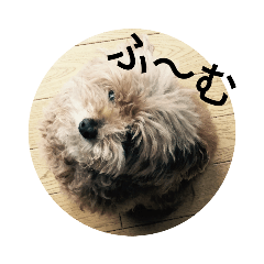 [LINEスタンプ] マンボ 本舗