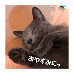 [LINEスタンプ] ロアすたんぷ